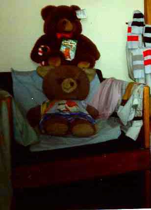 Wogi the Teddy Bear on a Chair with an anonymous bear above him